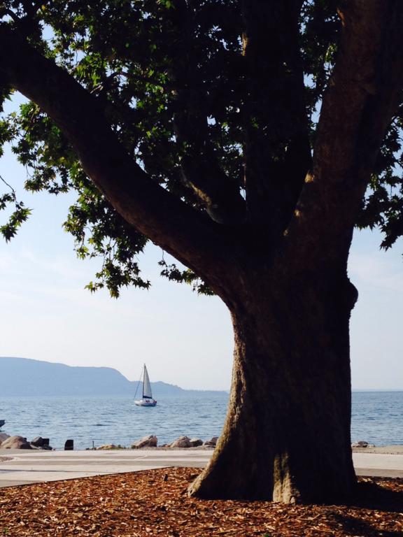 Ca' Dei Gatti Villa Toscolano Maderno Buitenkant foto