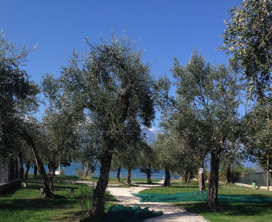 Ca' Dei Gatti Villa Toscolano Maderno Buitenkant foto