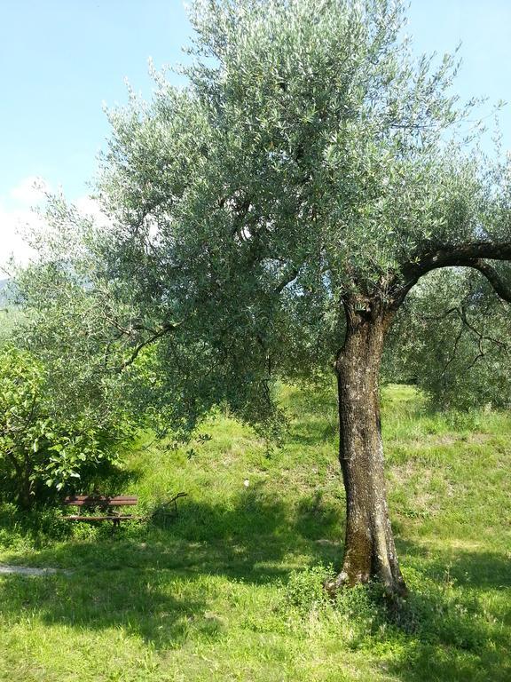 Ca' Dei Gatti Villa Toscolano Maderno Buitenkant foto